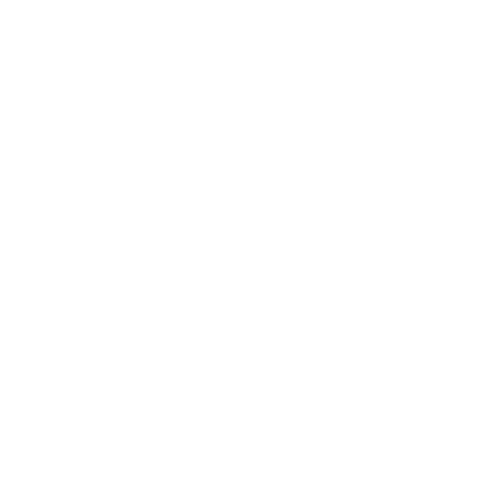 GEORGES RECH